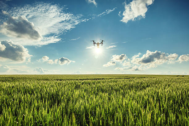 Precision crop spraying drone in action