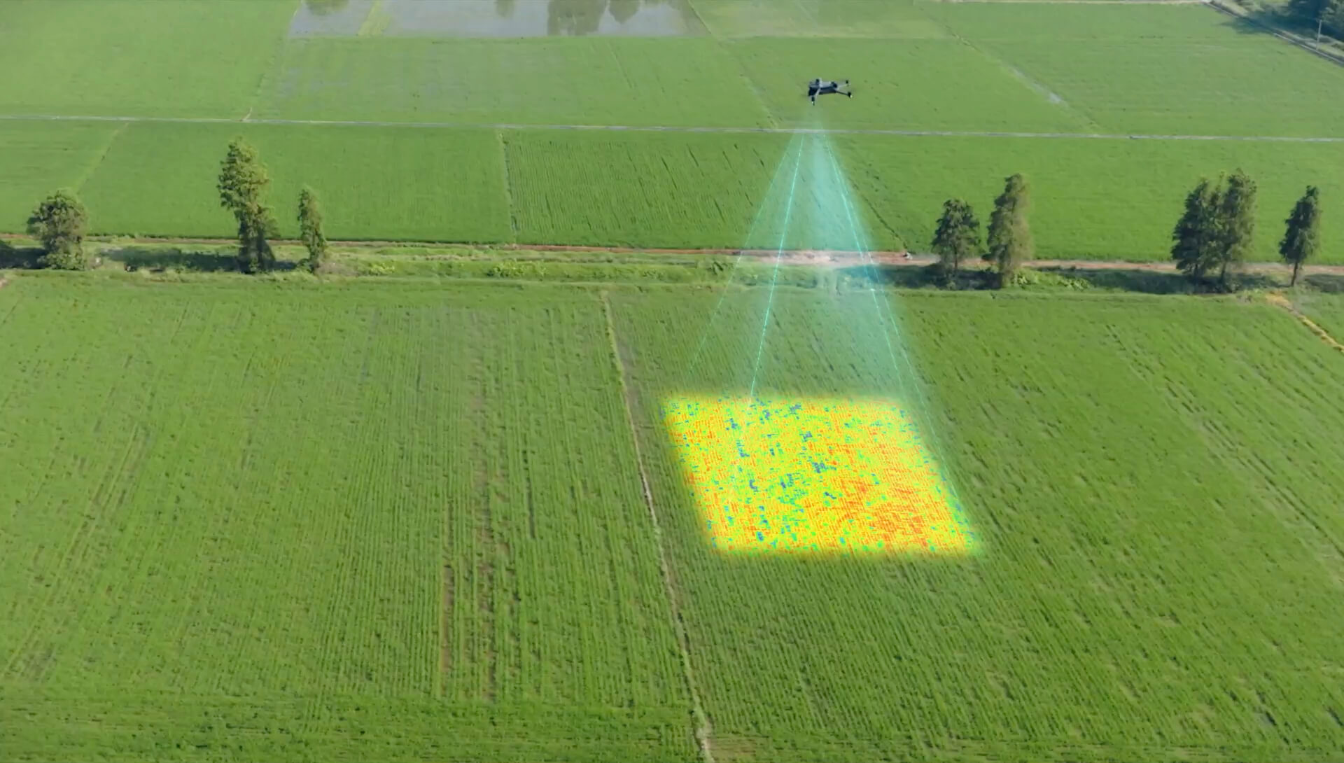 Agricultural survey drone monitoring fields